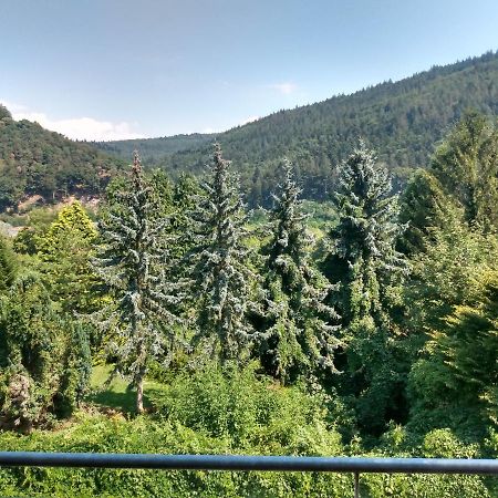 Hotel Zum Neckartal Heidelberg Eksteriør billede