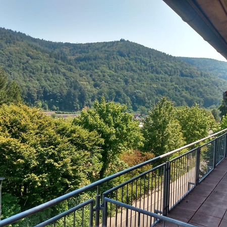 Hotel Zum Neckartal Heidelberg Eksteriør billede