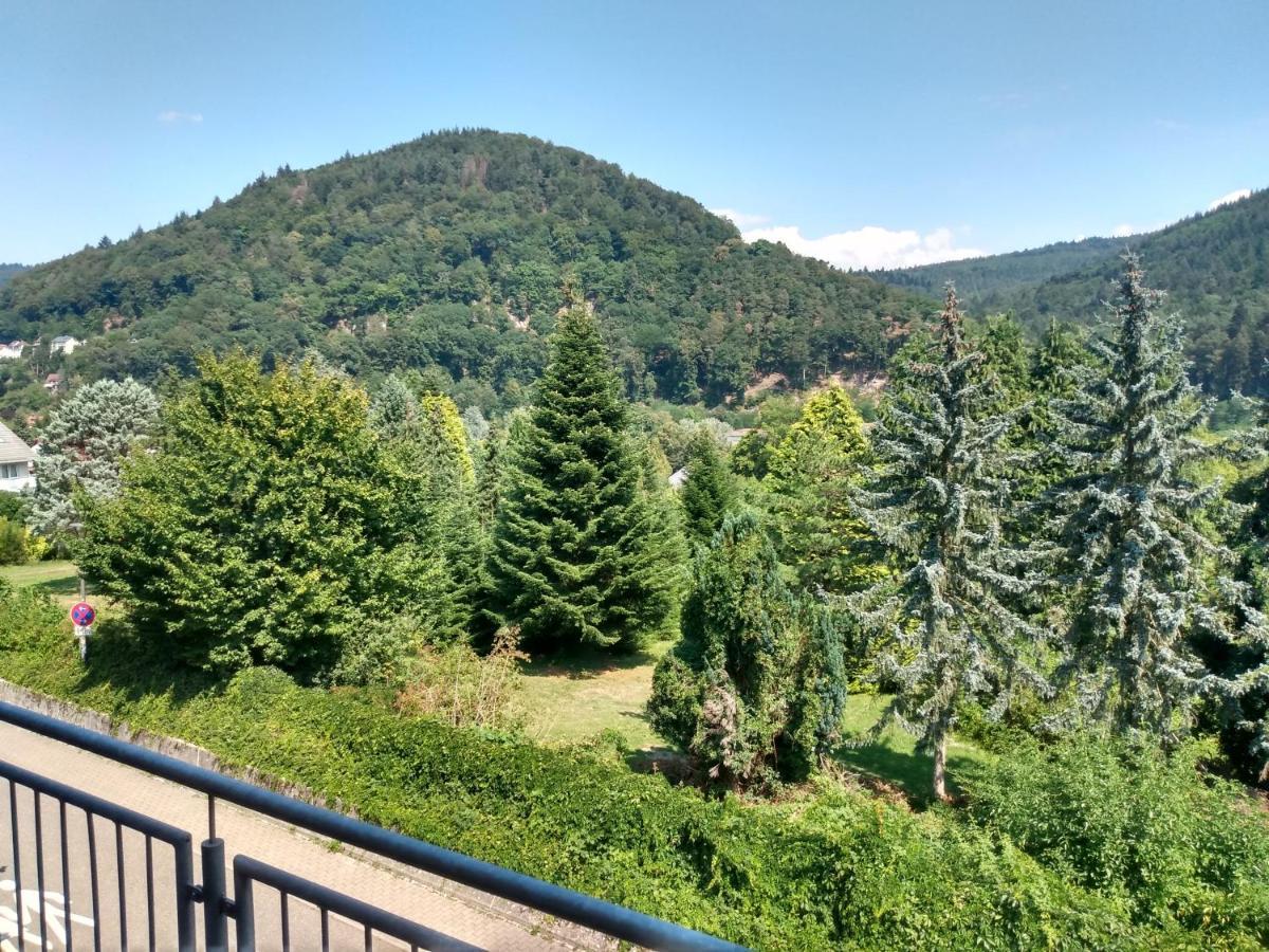 Hotel Zum Neckartal Heidelberg Eksteriør billede